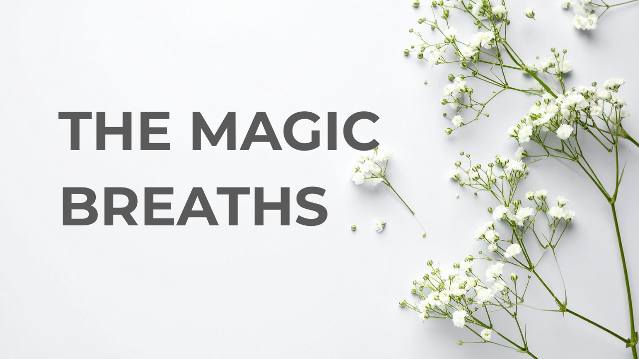 The Yoga Therapy Toolbox #4: Introducing the Three Magic Breaths