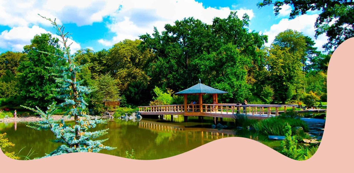 Yoga Therapy: who are we doing this for?