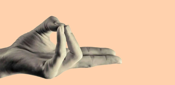 Introducing The Prana Vayus