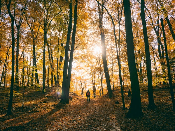 The Yoga Therapy Toolbox #19: Don't Give Impossible Self-Care Advice