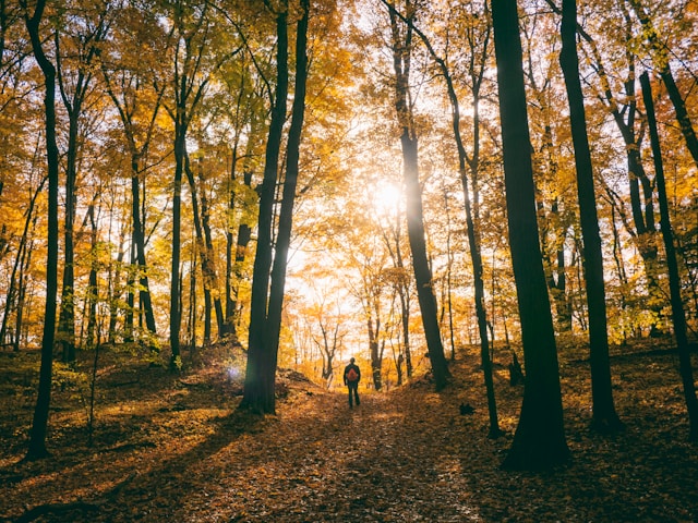 The Yoga Therapy Toolbox #19: Don't Give Impossible Self-Care Advice