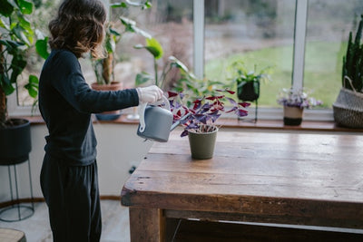 The Yoga Therapy Toolbox #20: What Everyone Gets Wrong About Hormones