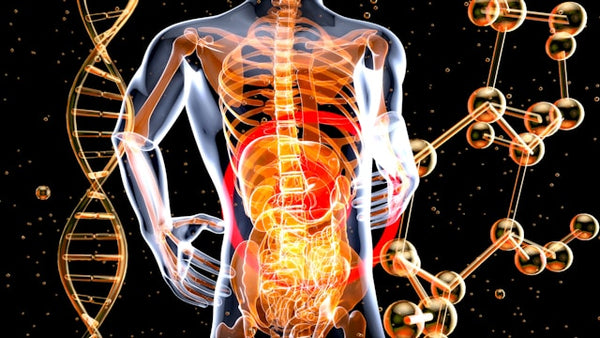 You’re Not Just What You Eat: 10 Insights from Yoga Therapy For Digestive Issues