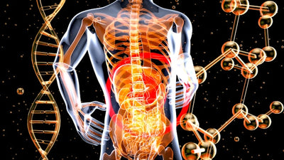 You're Not Just What You Eat: 10 Yoga Therapy Insights Into Gut Health