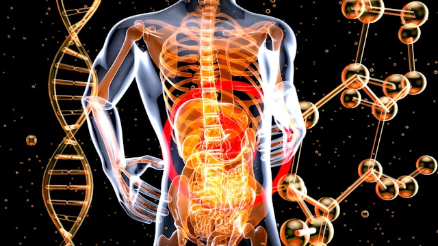 You're Not Just What You Eat: 10 Yoga Therapy Insights Into Gut Health