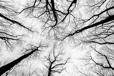 How the Nervous System Really Works: Six Insights That Could Change How You Practise Yoga