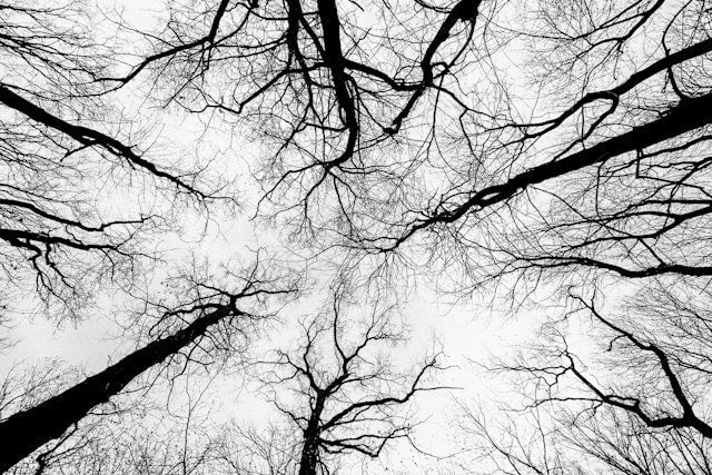 How the Nervous System Really Works: Six Insights That Could Change How You Practise Yoga