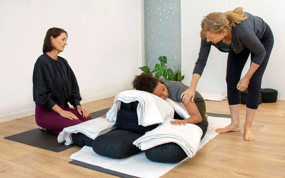 IAYT Accredited Yoga Therapy  Diploma 875 hours 